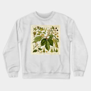 Retro Botanical Common Hops Crewneck Sweatshirt